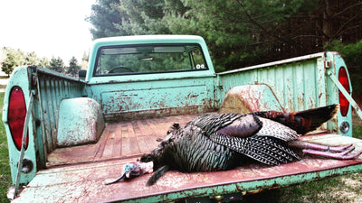 The Wicked Game of Wild Turkey Hunting