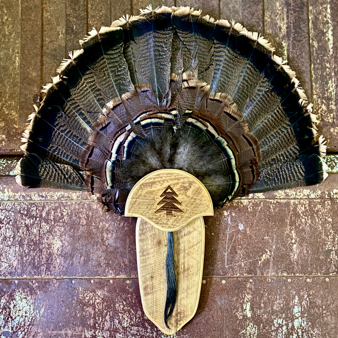 Wicked North Limited Run Turkey Fan and Beard Plaque