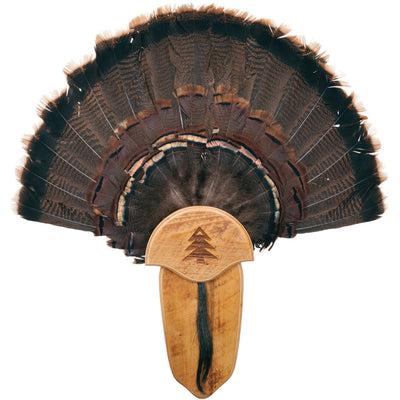 Wicked North Limited Run Turkey Fan and Beard Plaque